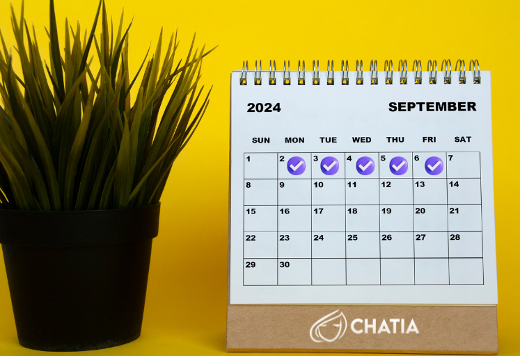 Del 2 al 5 de septiembre, Chatia y Weppa Cloud llevaron a cabo una semana digital enfocada en la alfabetización digital y la transformación digital de las empresas.