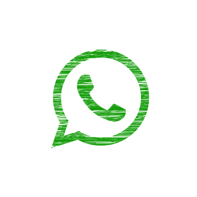 whatsapp, phone, icon