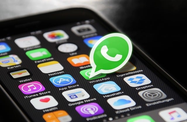 whatsapp, método, nombre, iphone, homescreen, planes, sesión, manera, chatear, ios, phone, smartphone, apps, whatsapp, whatsapp, botón whatsapp, whatsapp, whatsapp